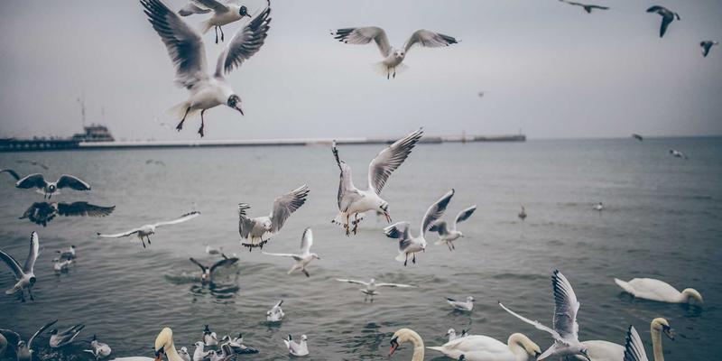 K线图深度解析：技术分析与图表分析的核心入门指南