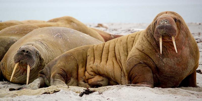 从股票分析到波西米亚风格：一份打破常规的数字货币投资理财入门与风险评估指南