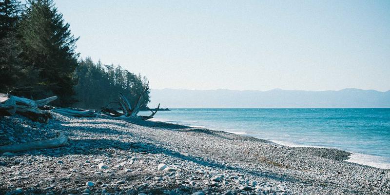 价值投资在A股的实践：超越K线图与波西米亚风格的技术分析，用基本面挖掘低估瑰宝