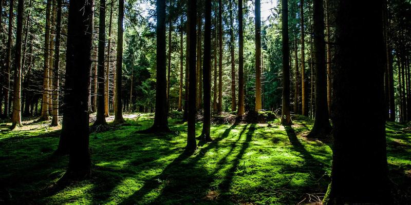 价值投资在A股的本土化实践：融合交易策略与财富管理，识别趋势线下的护城河公司