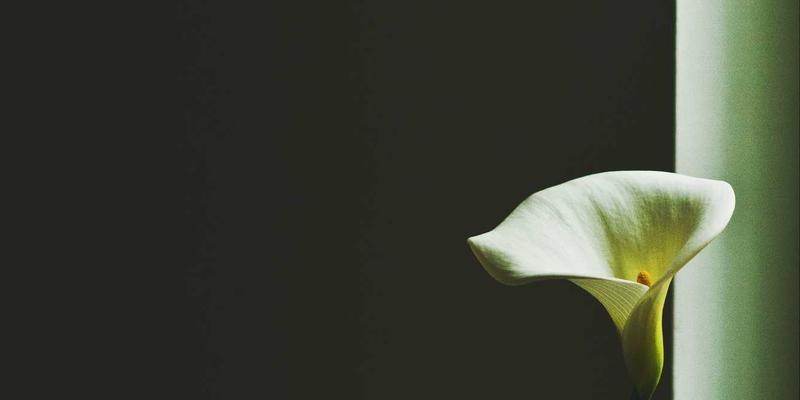 家庭财务健康诊断：五大核心比率评估与优化方案，用趋势线思维实现财富管理跃升