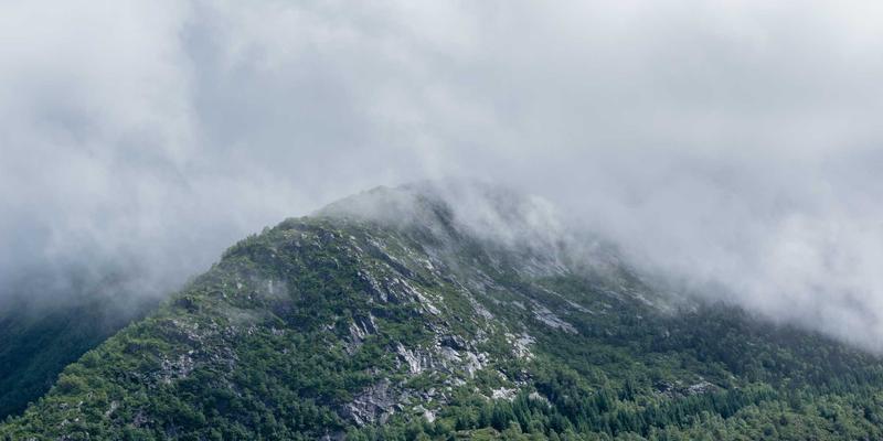 当波西米亚风格遇见K线图：在股票分析中寻找艺术与纪律的平衡