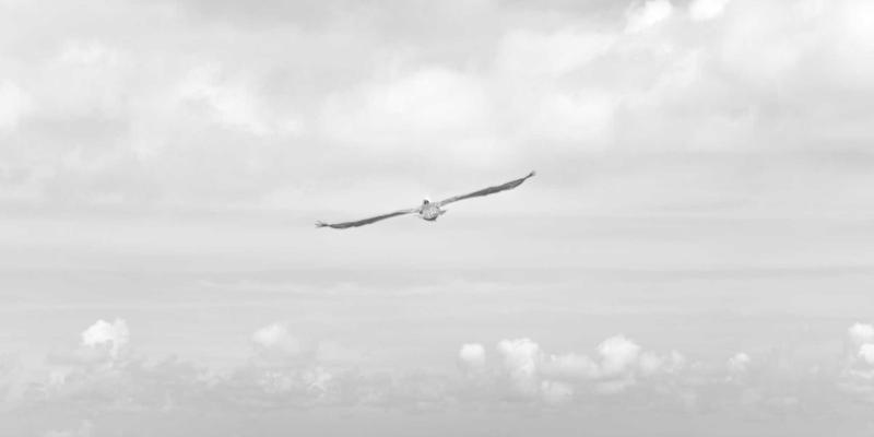 房地产投资与金融理财：从图表分析看趋势线，揭秘波西米亚风格投资策略