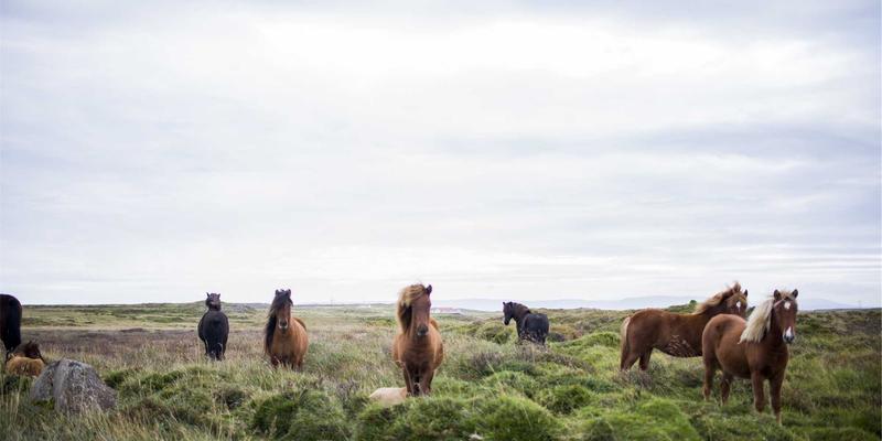 技术分析与波西米亚风格的交汇：跨市场套利中的财富管理艺术