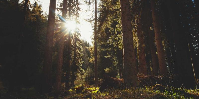 技术分析新维度：如何用CPI、PMI数据解读K线图与趋势线背后的宏观逻辑