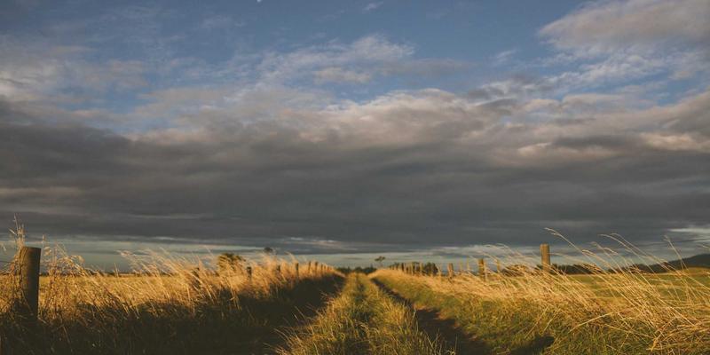 技术分析核心工具：趋势线与图表分析实战指南