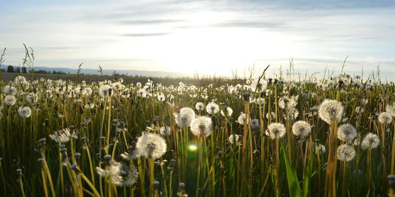 技术分析：现代投资理财与财富管理的科学利器