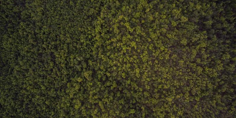 投资理财58：财富管理、股票分析与投资理财的实战指南