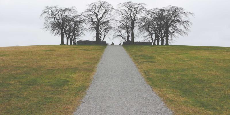 投资理财84课：掌握股票分析与图表技术，构建稳健交易策略
