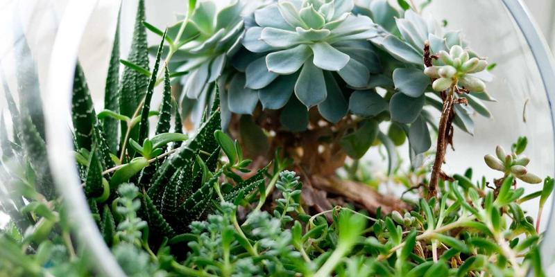 投资理财入门：掌握交易策略与技术分析，从看懂图表开始