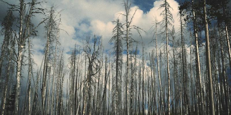 投资理财进阶：三大交易策略解析，趋势线与K线图的实战融合