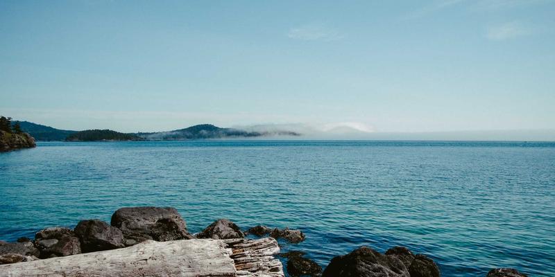 智能投顾 vs 传统顾问：数字化时代，你的投资理财该有波西米亚式的自由还是严谨的技术分析？