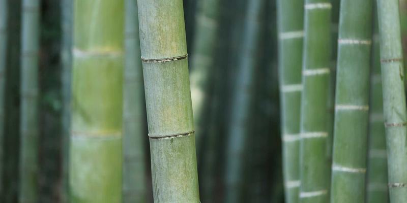 波西米亚风格财富管理：用现金流艺术构建家庭财务蓄水池