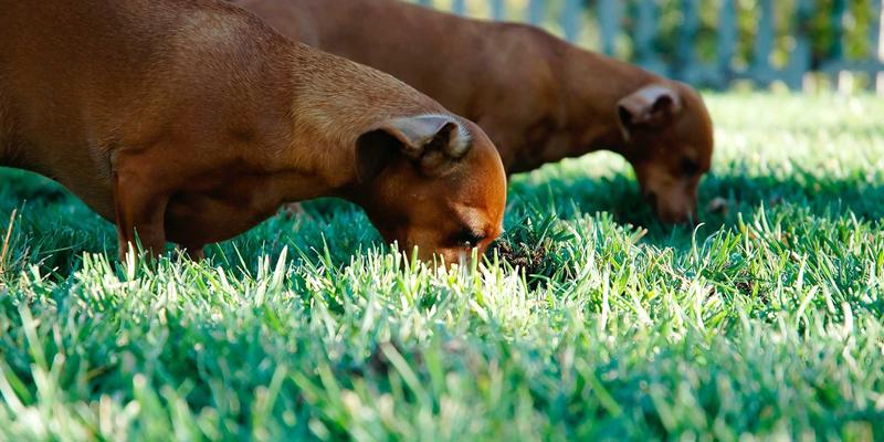 财富管理进阶：融合晨星评级与量化趋势线的基金筛选与组合构建实战策略