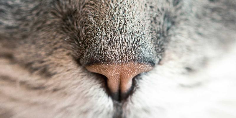 趋势线与交易策略：高净值人士股票分析与资产配置新视角