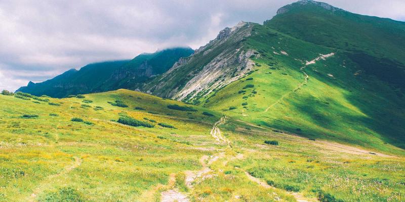 趋势线、图表分析与投资理财：智能投顾与传统顾问的数字化财富管理对决