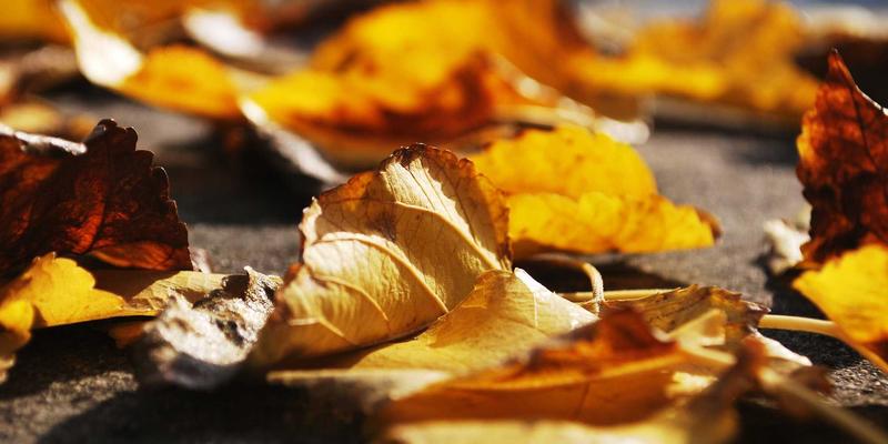 趋势线：技术分析中的投资理财导航仪