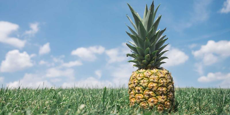 长期定投指数基金：穿越K线图波动，把握趋势线的财富密码